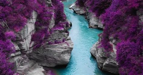 The Purple Forest In Scotland The World Pinterest Best Scotland