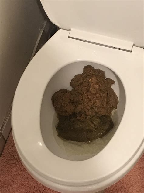 2074 Best Rpoop Images On Pholder Thick Turd Looks So Amazing