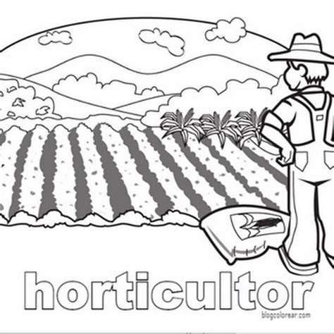 Colorear Dibujos Agricultores Colorear Dibujos Infantiles