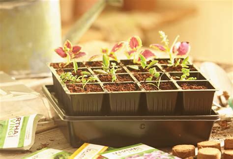 Avid gardeners should take a look at the home depot garden club, an email and text alert club that delivers special garden promotions and offers right to your inbox or mobile device. Garden Club Ideas For Programs Photograph | The Home Depot S