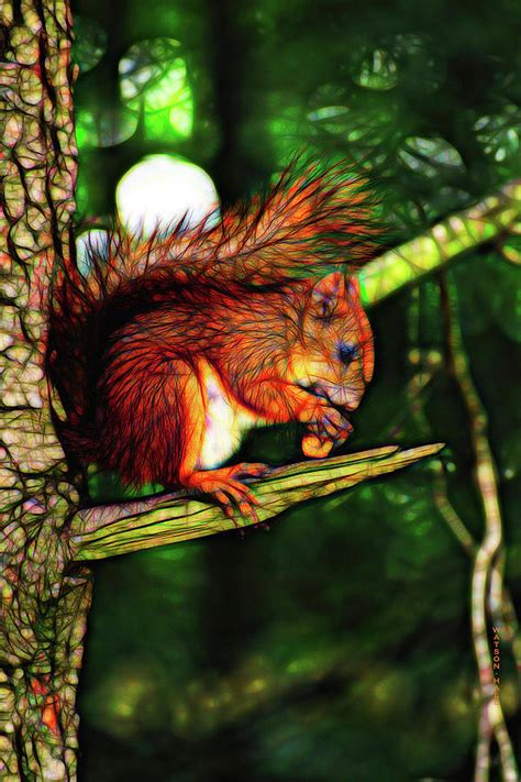 Red Squirrel Digital Art By Marlene Watson And Art Crew Nz Fine Art
