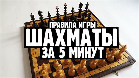 ШАХМАТЫ ЗА 5 МИНУТ ♘♛♘ Как научится играть в шахматы Шахматы с нуля Дурацкий мат Youtube