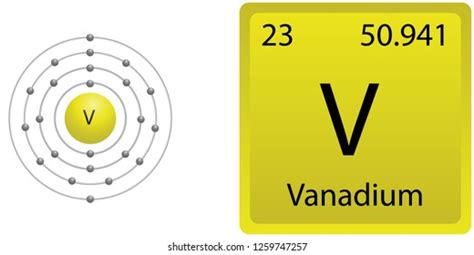 Vanadium Atom Shell Stock Vector Royalty Free 1259747257 Shutterstock