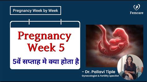 5th Week Of Pregnancy Pregnancy Week By Week In Hindi गर्भावस्था का पांचवा सप्ताह Youtube