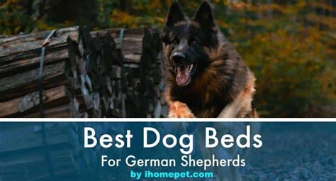 Top 10 Best Dog Beds For German Shepherds Reviews Ihomepet