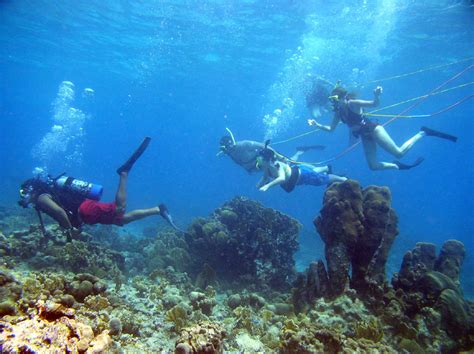 key west florida scuba diving facts