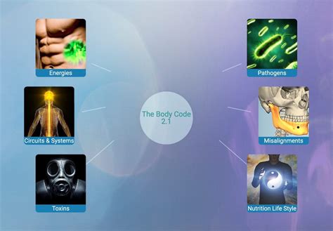 How Body Code Works Embrace Your Light