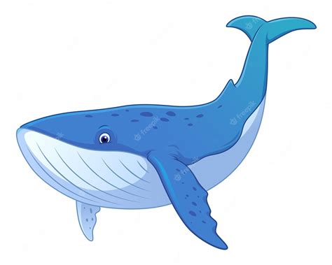Premium Vector Blue Whale Cartoon Animal Illustration