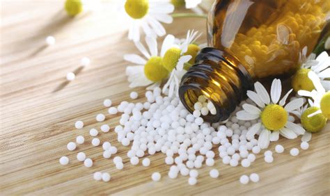 ¿qué Es La Homeopatía Marketcursos Academy