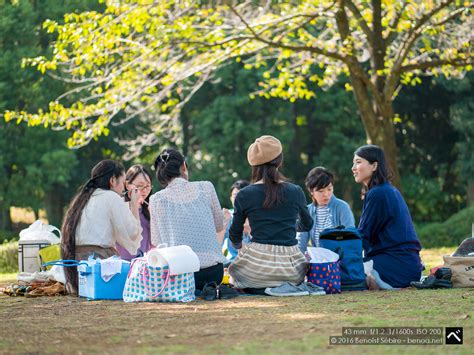 Picnic Benoa In Japan