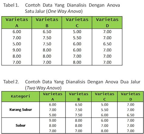Contoh Soal Anova Dua Jalur Dan Penyelesaiannya – Rasanya