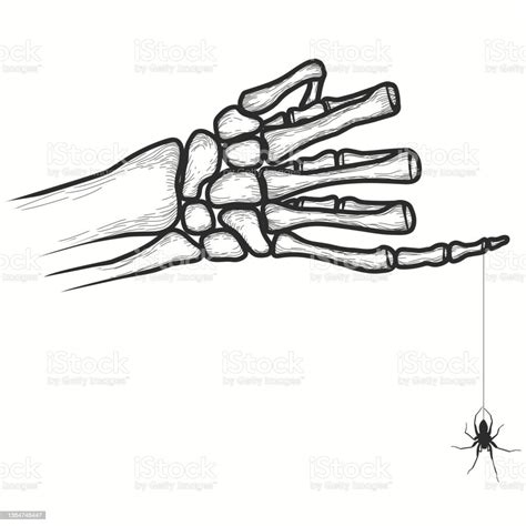 Ilustración De Huesos De La Mano Con Araña Parte Del Esqueleto Humano