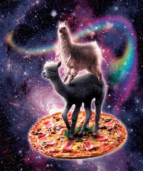 Rainbow Space Llama On Alpaca Riding Pizza Digital Art By Random Galaxy