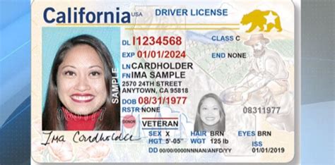 Document Number On Drivers License California Coolnup