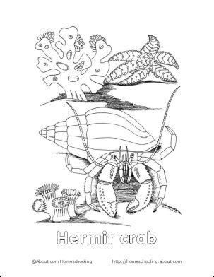 Print out the ocean creatures from 3 dinsosaurs. Crab Wordsearch, Vocabulary, Crossword, and More | Fish ...