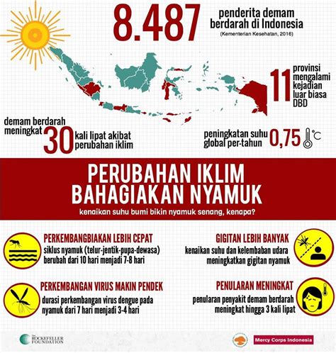 Perubahan Iklim Bahagiakan Nyamuk Situs Hijau Indonesia