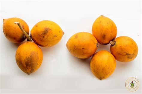 New Study On Alasa African Star Fruit Has Proven To Have Numerous