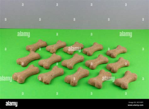 A Dog Food Bones On Green Background Pattern Stock Photo Alamy