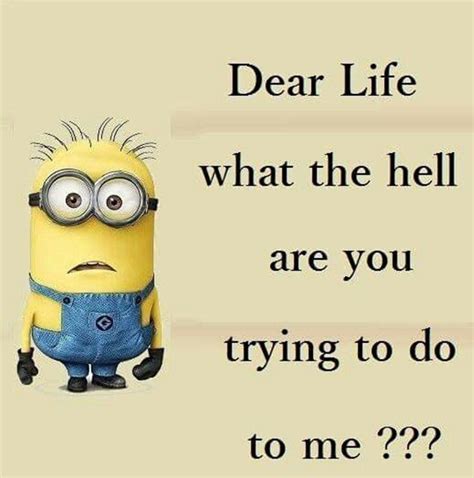 30 funny quotes laughing so hard minions funny minions humor funny minion pictures