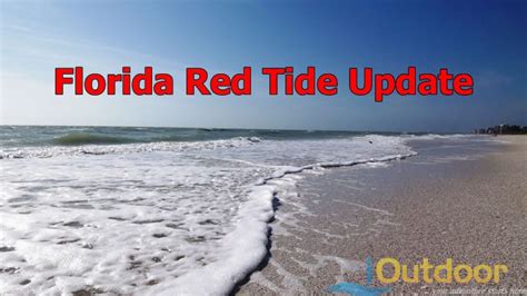 Florida Red Tide Update Florida Fishing Tourism Conservation And Travel
