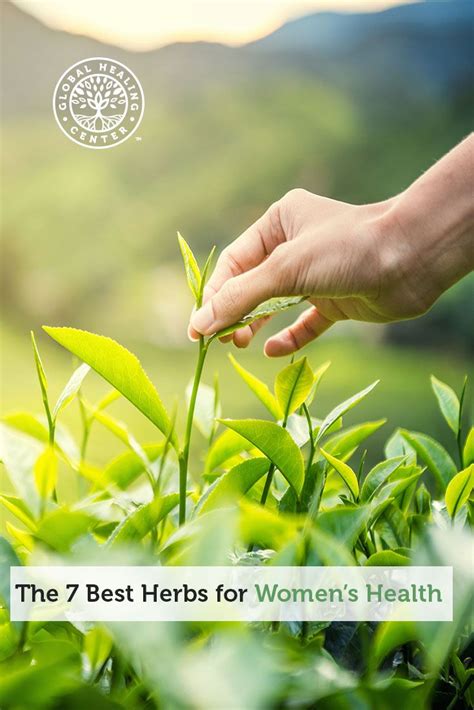 The 7 Best Herbs For Womens Health Womens Health Herbs Natural