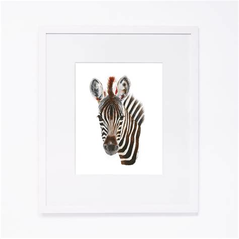 Tiny Toes Baby Zebra Portrait