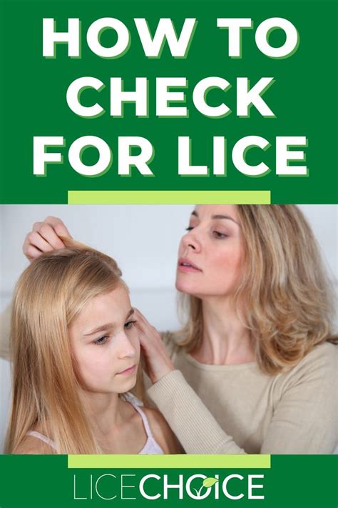 Pin On All About Lice