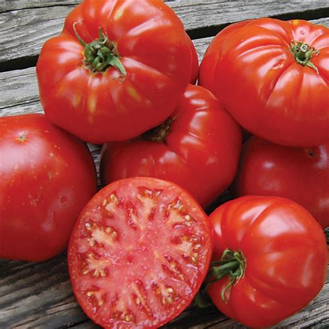 Kanner Hoell Tomato Large Tomato Variety Seeds Totally Tomatoes