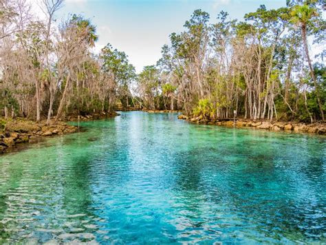 Three Sisters Springs Crystal River Roadtrippers Florida Holiday