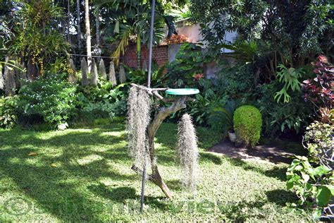 Beautiful Kandyan Home Garden In Sri Lankapicture Design Ideas