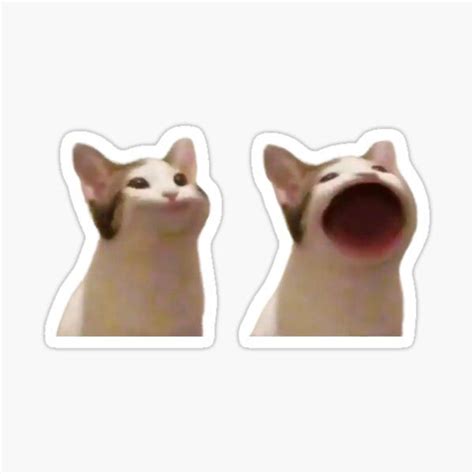 Popping Cat Meme Sticker By Merch On In 2021 Cool Stickers Pop Cat