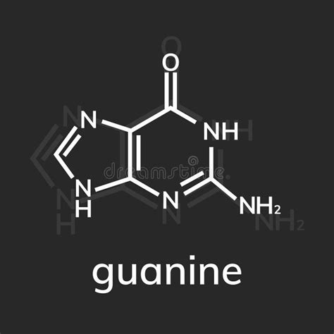 Fórmula Química De La Guanina Ilustración Del Vector Ilustración De Molécula Guanina 150845838