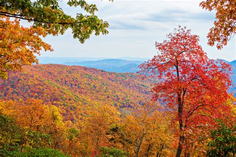 Fall Brilliance In Asheville North Carolina — Kevin And Amanda