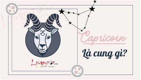 Capricorn Là Cung Gì Hé Lộ Những Sự Thật Thú Vị Của Cung Hoàng đ