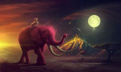 Elephant Pink Fantasy Deviantart Screensavers Background Surreal