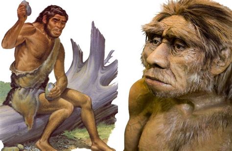 Neanderthal Genes Influence Your Mood And Much More Study Shows