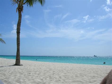 Potential Screensaver Picture Of Bucuti And Tara Beach Resort Aruba