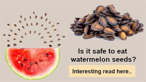 Are Watermelon Seeds Good For You Benefits And How To Eat Them