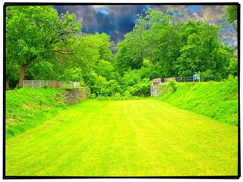 Fondos De Pantalla Verde Pradera Naturaleza Césped Vegetación