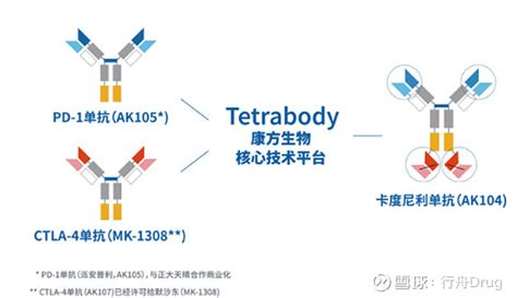 全球获批的10款双抗药物梳理 点击上方的 行舟drug 添加关注 近期，艾伯维 Genmab 的cd3cd20双抗获批上市，用于治疗复发难