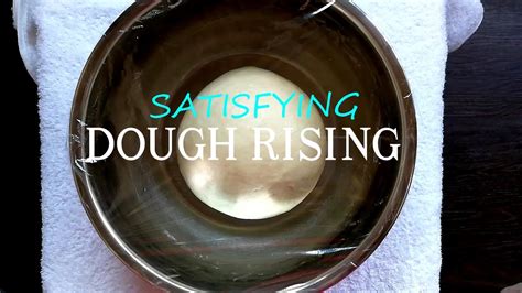 dough rising time lapse satisfying video youtube