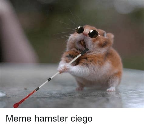 Meme Hamster Ciego Meme On Meme