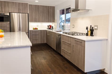 In the world of kitchen renovations, there are two categories: 50 Modern Kitchen Cabinet Styles To Die For - Modern Kitchen Pros