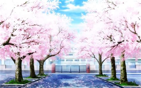 Cherry Blossoms Anime Scenery Wallpapers Top Những Hình Ảnh Đẹp