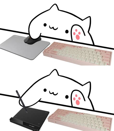 Meilleures Collections Bongo Cat  Keyboard And Mouse Abdofolio