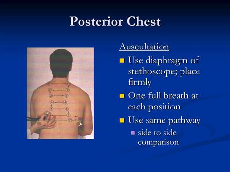 Ppt Assessment Of Thorax And Lungs Powerpoint Presentation Id521002