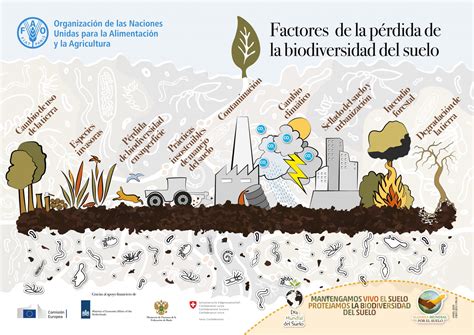 Factores De La Pérdida De La Biodiversidad Del Suelo Plataforma