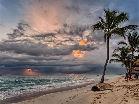 Beach Idyllic Island Palm Trees Seascape Seashore Silhouette Sky