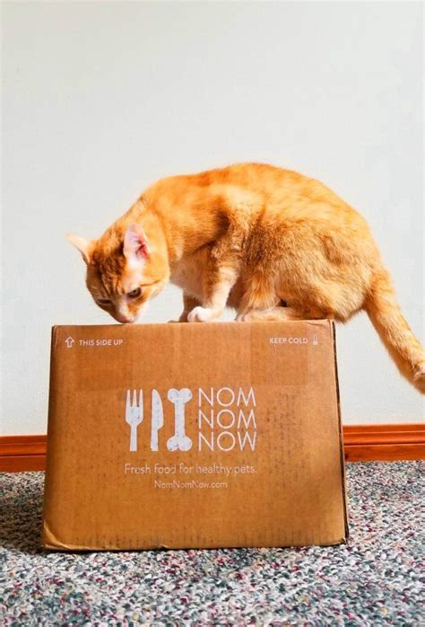 Nom nom cat food reddit. Nom Nom Cat Food Review: We Tried Nom Now Fresh Cat Food ...