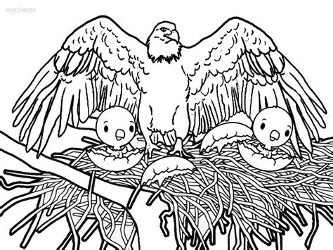 Gambar Baby Eagle Coloring Page Pages Ideas Printable Bald Kids